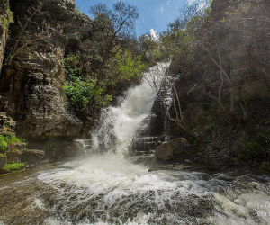 Caucasus Nature Fund Allocates €335,000 to Armenian Environment Ministry