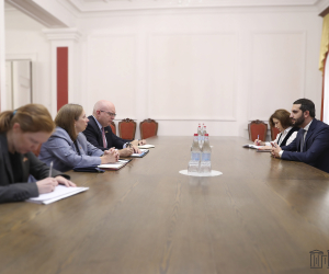 Armenia's Special Representative in Turkey Talks Meets with Minsk Group U.S. Co-Chair