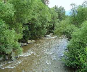Փրկարարները դուրս են բերել Աղստև գետն ընկած քաղաքացուն