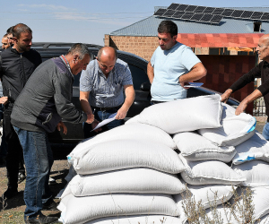 ՄԱԿ ՊԳԿ-ն 301 տոննա աշնանացան սերմացու է տրամադրելու անապահով ընտանիքներին