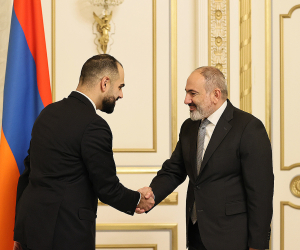 Pashinyan, Swedish MP Arin Karapet Discuss Armenia-Diaspora Relatios