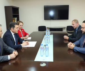 Փոխարտգործնախարար Պարույր Հովհաննիսյանը հանդիպել է Եվրոպական խորհրդարանի պատվիրակությանը