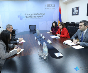 Քննարկվել է Կարմիր խաչի օգնությամբ Արցախից հիվանդներ տեղափոխելու, դեղորայք և մանկական սնունդ հասցնելու հնարավորությունը