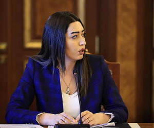 ՆԳ փոխնախարարի պաշտոնյա ամուսինը չի հայտարարագրել իր բաժնեմասը