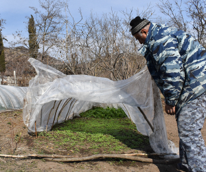 Շրջափակման պատճառով Արցախում հետաձգել են գյուղատնտեսության զարգացման ծրագրերը 