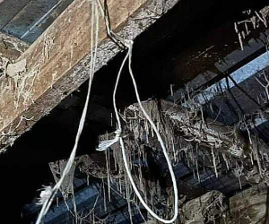 Հարուցվել է քրեական գործ անասնագոմի առաստաղից կախված վիճակում քաղաքացու դին հայտնաբերելու դեպքի առթիվ․ ԱՀ ՔԿ