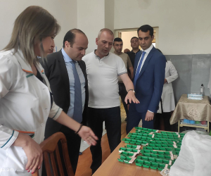 Վարդենիսի նյարդահոգեբանական տուն-ինտերնատի տնօրենը հիվանդներին աշխատեցրել է և խոշտանգման ենթարկել․ ոստիկանություն