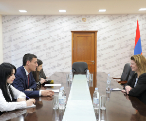 Արթուր Մարտիրոսյանն ընդունել է ՀՀ-ում Դանիայի Թագավորության դեսպանին