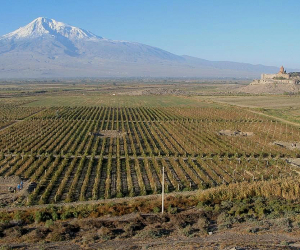 «Մայրաքաղաք Արտաշատ» պատմամշակութային հուշարձանը արգելոցի կարգավիճակ պետք է ստանա ոչ թե  5,8 հա, այլ 700 հա տարածքով