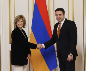 Armenian, Portuguese Legislators Discuss Cooperation