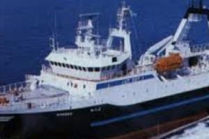 Head and Chief Accountant of the Company Sentenced