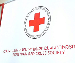 «Աննա Եղիազարյանը զբաղվում է ինքնագործունեությամբ»․ Հայկական Կարմիր խաչը հերքում է նոր նախագահի ընտրության մասին տեղեկությունը