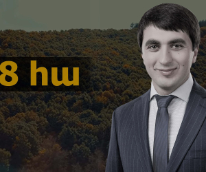 Սևակ Միքայելյանը տապալել է ապօրինի սեփականաշնորհված անտառների վերադարձի դատական գործերը