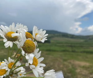 Օդի ջերմաստիճանը կնվազի 3-5 աստիճանով