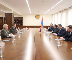 Պապիկյանն Ավստրիայի դեսպանի հետ քննարկել է պաշտպանության բնագավառում համագործակցության հարցերը