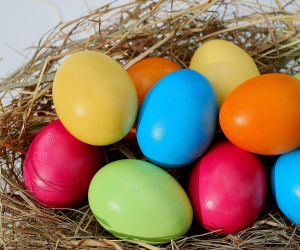 ՍԱՏՄ-ն վերահսկողական միջոցառումներ կանցկացնի ձվի արտադրությամբ զբաղվող կազմակերպություններում և իրացման շուկայում