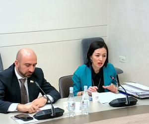 ԱԺ մշտական հանձնաժողովի նիստը՝ ուղիղ հեռարձակմամբ