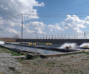 ԲԸՏՄ-ն կասեցրել է ձկնաբուծարանի ապօրինի ջրառը