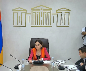 ԱԺ ֆինանսավարկային և բյուջետային հարցերի մշտական հանձնաժողովի նիստը՝ ուղիղ հեռարձակմամբ