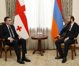 Armenian, Georgian FMs Discuss Expanding Strategic Cooperation