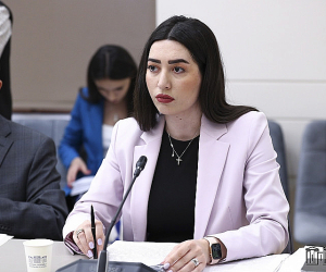 Մի շարք կազմակերպություններ շինության մուտքը և բոլոր կողմերը դրսից տեսահսկման համակարգով ապահովելու պարտականություն կունենան