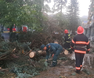 Վնասներ՝ քամու հետևանքով (թարմացված)