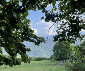 Երևանում հուլիսի 10-ի կեսօրից հետո, 11-15-ին գիշերը և երեկոյան հնարավոր է կարճատև անձրև և ամպրոպ