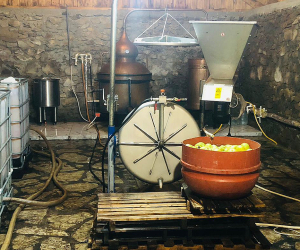 Աղավնավանքում կասեցվել է խմիչքների արտադրամասի գործունեությունը