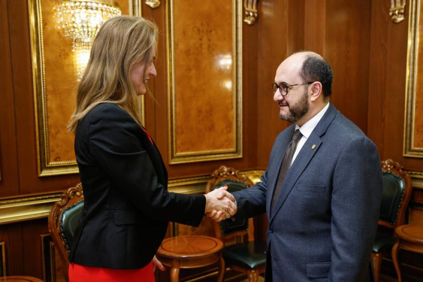 Արայիկ Հարությունյանը հանդիպել է  Նիդերլանդների դեսպանին
