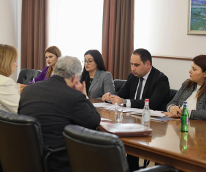 Armenia - U.S. Discuss Direct Flights