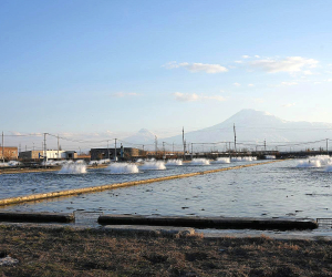 Արարատյան ջրավազանային էկոհամակարգային ծառայությունները գնահատվել են 105 մլրդ դրամ