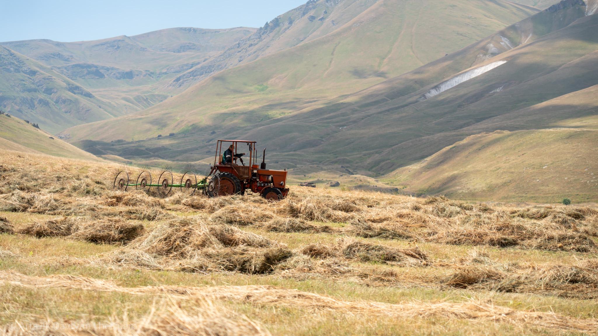 Կյանքը սարերում. խոտհունձի օրեր