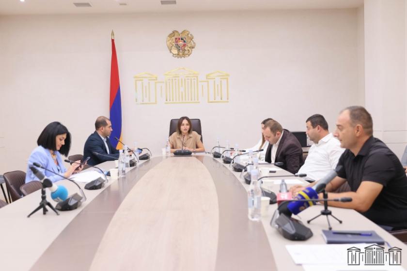 ԱԺ հանձնաժողովը քննարկել է Ասիական զարգացման բանկի հետ առողջապահության որակի բարելավման վարկային համաձայնագիրը վավերացնելու հարցը
