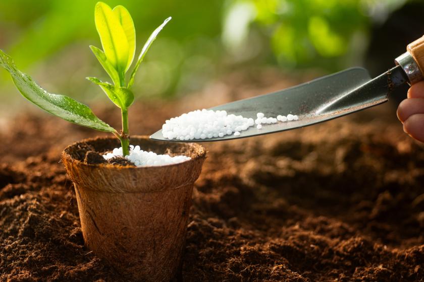 Կիրականացվի ՀՀ-ում պարարտանյութերի ձեռքբերման աջակցության ծրագիրը