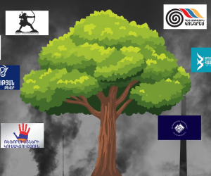Environmental Issues Take a Back Seat in Armenia’s Election Campaign
