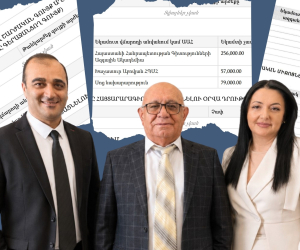 Ի՞նչ են հայտարարագրել Քրիստոնեա-ժողովրդավարական կուսակցության թեկնածուները