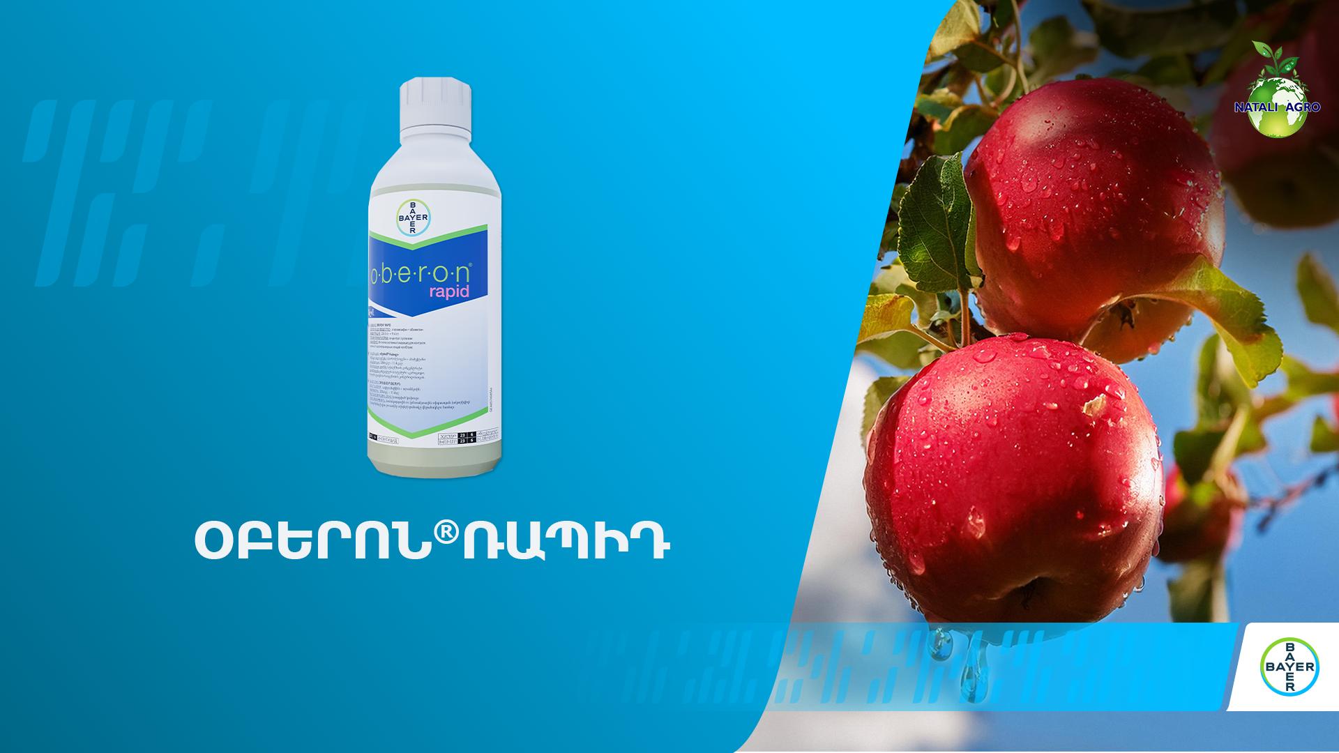 Օբերոն Ռապիդ՝ բույսը տզերից պաշտպանելու կոնտակտ-համակարգային