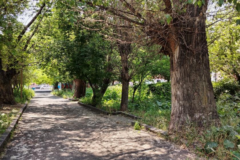 172 մլն դրամ՝ Գյումրու «Հաղթանակի» զբոսայգու մեկ հատվածի բարեկարգման համար