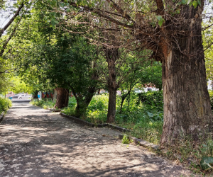 172 մլն դրամ՝ Գյումրու «Հաղթանակի» զբոսայգու մեկ հատվածի բարեկարգման համար