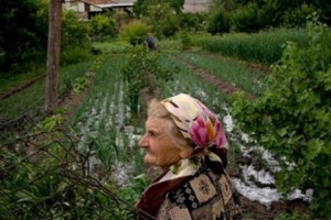 Իշխանությունները հույսեր են կապում գյուղատնտեսական բարեփոխումների հետ