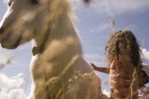 Centaur Organizes "My horse is my wings" Photo Exhibit &amp; Sale