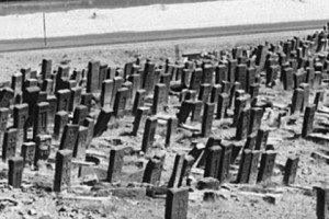 “The Stones Will Cry Out” (Part 1)