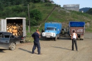 Рабочая группа отправилась в Лорутское лесничество