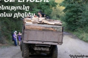 Природа или бизнес?