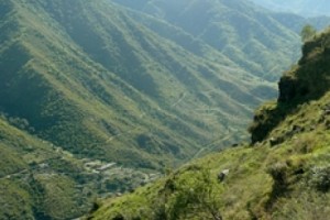 Պրծել է թեթև քերծվածքներով