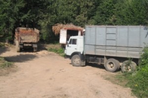 Police Investigation Fails to Uncover Logging Violations