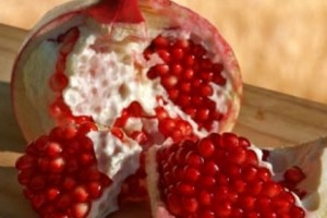 The pomegranate symbolizes new life