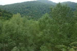 «Բա սա բնության պահպանությամբ մտահոգվողի հոգեբանություն ու վերաբերմո՞ւնք է»