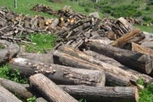 Օրենսգրքում առկա խնդիրները խոչընդոտում են անտառի ու դրա բնական ռեսուրսների կայուն կառավարմանը