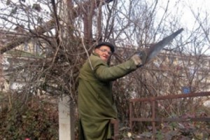 Old Man Lado: Quick with the Saw and the Curses